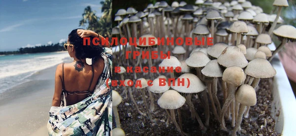 кристаллы Гусь-Хрустальный
